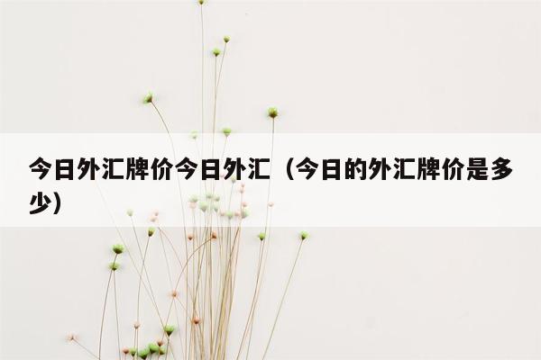 今日外汇牌价今日外汇（今日的外汇牌价是多少）