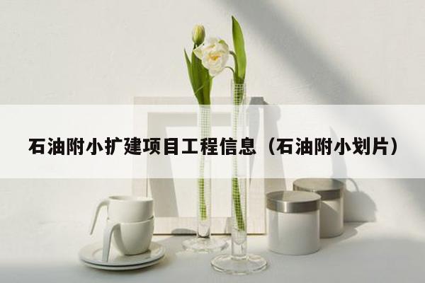 石油附小扩建项目工程信息（石油附小划片）