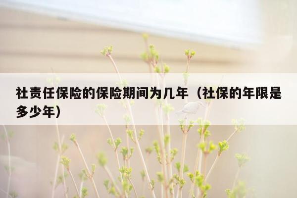 社责任保险的保险期间为几年（社保的年限是多少年）