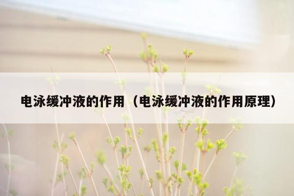 电泳缓冲液的作用（电泳缓冲液的作用原理）