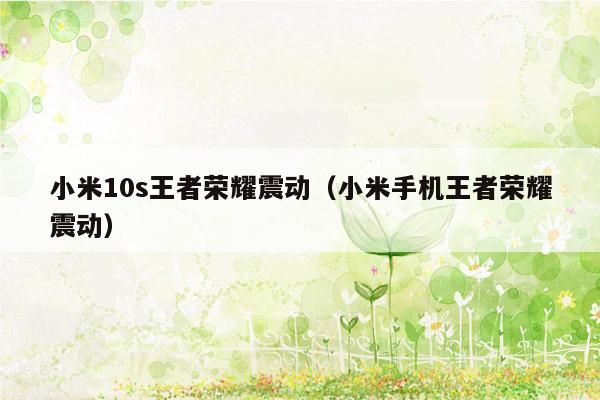 小米10s王者荣耀震动（小米手机王者荣耀震动）