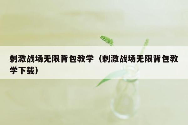 刺激战场无限背包教学（刺激战场无限背包教学下载）