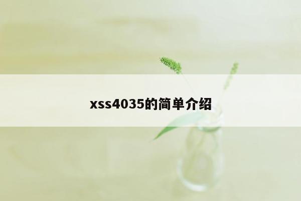 xss4035的简单介绍