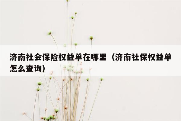 济南社会保险权益单在哪里（济南社保权益单怎么查询）