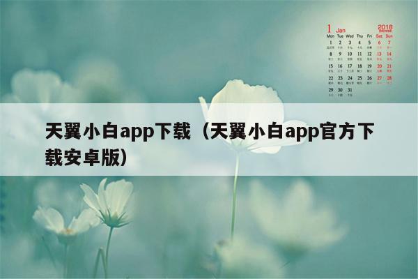 天翼小白app下载（天翼小白app官方下载安卓版）