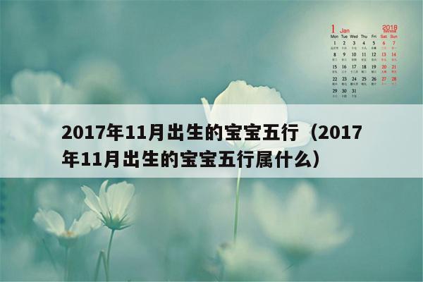 2017年11月出生的宝宝五行（2017年11月出生的宝宝五行属什么）