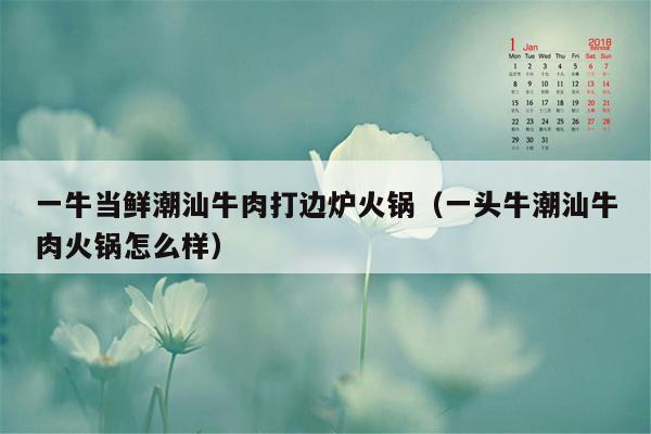 一牛当鲜潮汕牛肉打边炉火锅（一头牛潮汕牛肉火锅怎么样）