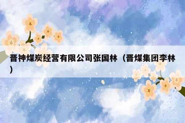 晋神煤炭经营有限公司张国林（晋煤集团李林）