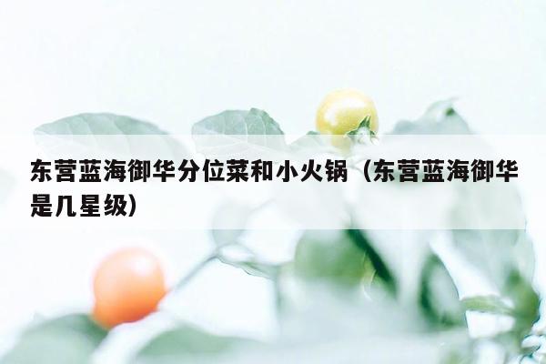 东营蓝海御华分位菜和小火锅（东营蓝海御华是几星级）