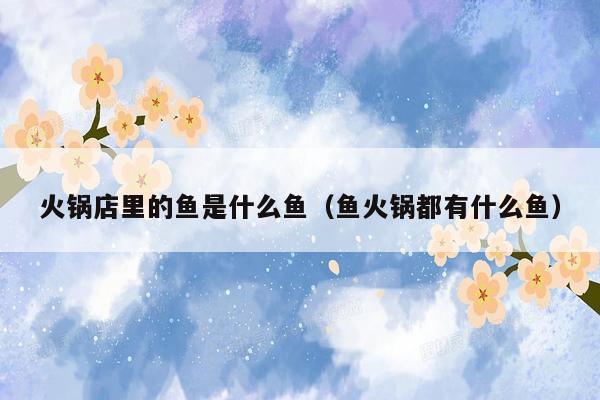火锅店里的鱼是什么鱼（鱼火锅都有什么鱼）