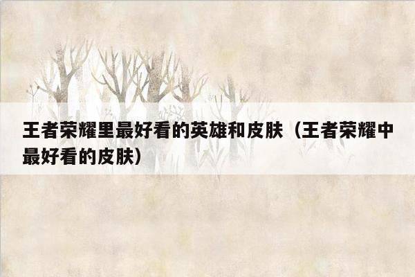 王者荣耀里最好看的英雄和皮肤（王者荣耀中最好看的皮肤）