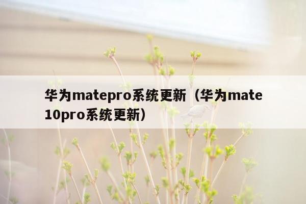 华为matepro系统更新（华为mate10pro系统更新）