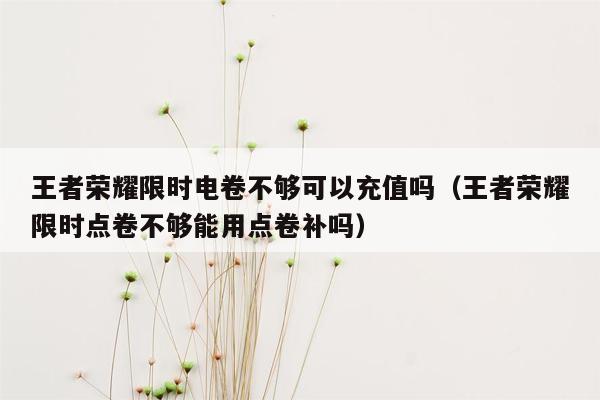 王者荣耀限时电卷不够可以充值吗（王者荣耀限时点卷不够能用点卷补吗）