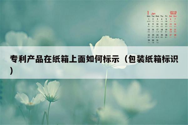 专利产品在纸箱上面如何标示（包装纸箱标识）