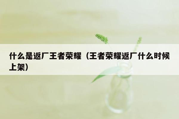 什么是返厂王者荣耀（王者荣耀返厂什么时候上架）