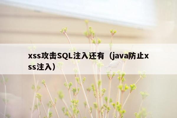 xss攻击SQL注入还有（java防止xss注入）