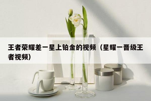 王者荣耀差一星上铂金的视频（星耀一晋级王者视频）