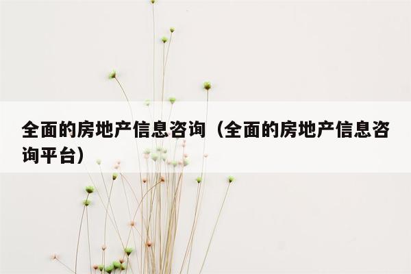 全面的房地产信息咨询（全面的房地产信息咨询平台）