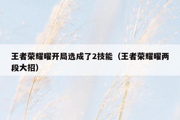 王者荣耀曜开局选成了2技能（王者荣耀曜两段大招）