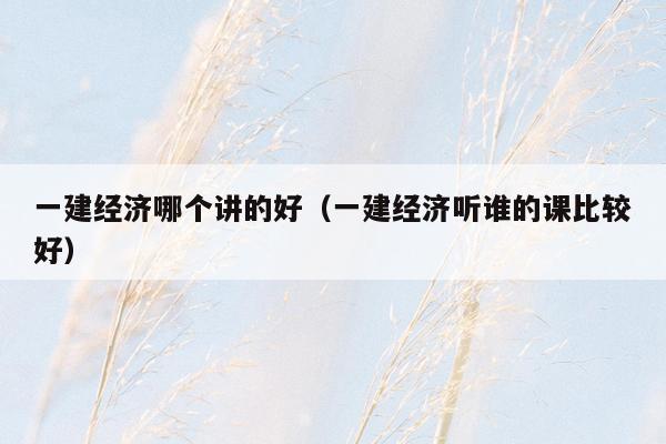 一建经济哪个讲的好（一建经济听谁的课比较好）