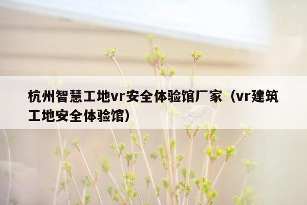 杭州智慧工地vr安全体验馆厂家（vr建筑工地安全体验馆）