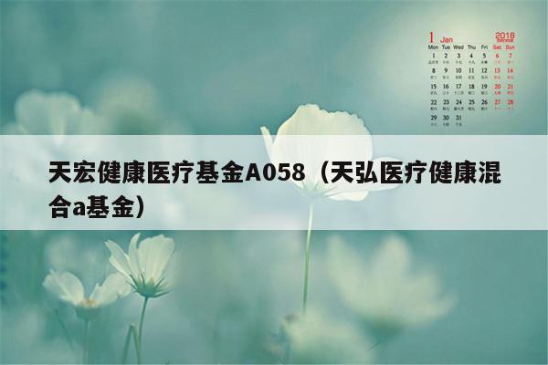 天宏健康医疗基金A058（天弘医疗健康混合a基金）