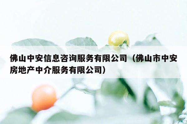 佛山中安信息咨询服务有限公司（佛山市中安房地产中介服务有限公司）
