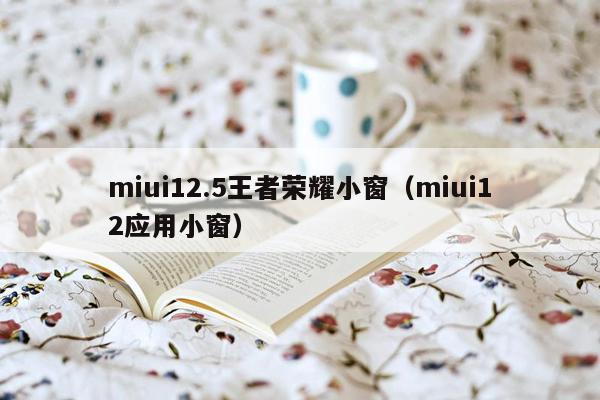 miui12.5王者荣耀小窗（miui12应用小窗）