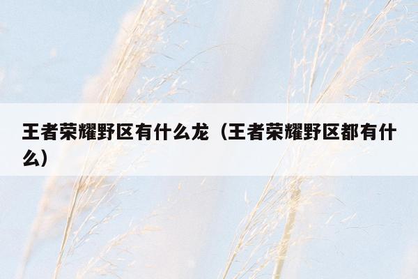 王者荣耀野区有什么龙（王者荣耀野区都有什么）