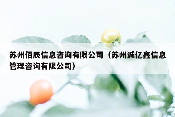 苏州佰辰信息咨询有限公司（苏州诚亿鑫信息管理咨询有限公司）