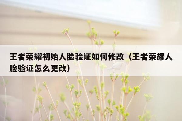 王者荣耀初始人脸验证如何修改（王者荣耀人脸验证怎么更改）