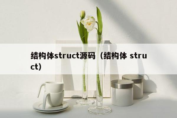 结构体struct源码（结构体 struct）