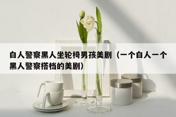 白人警察黑人坐轮椅男孩美剧（一个白人一个黑人警察搭档的美剧）
