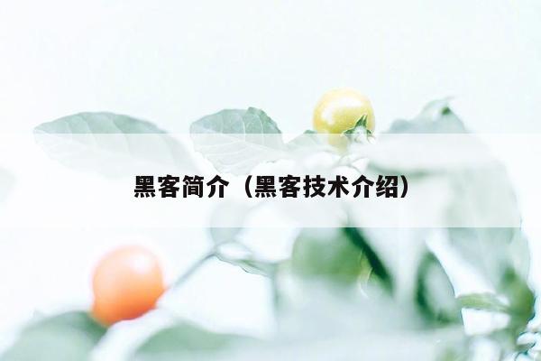黑客简介（黑客技术介绍）