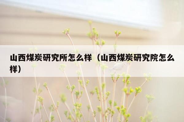 山西煤炭研究所怎么样（山西煤炭研究院怎么样）