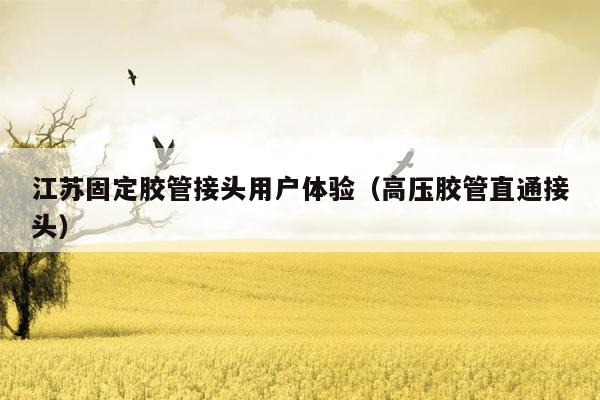 江苏固定胶管接头用户体验（高压胶管直通接头）