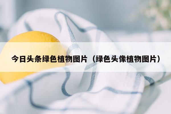 今日头条绿色植物图片（绿色头像植物图片）