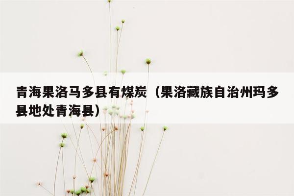 青海果洛马多县有煤炭（果洛藏族自治州玛多县地处青海县）