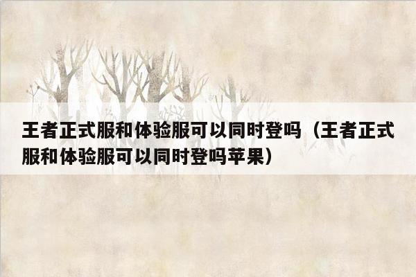 王者正式服和体验服可以同时登吗（王者正式服和体验服可以同时登吗苹果）