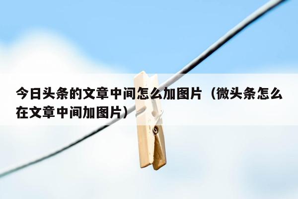 今日头条的文章中间怎么加图片（微头条怎么在文章中间加图片）