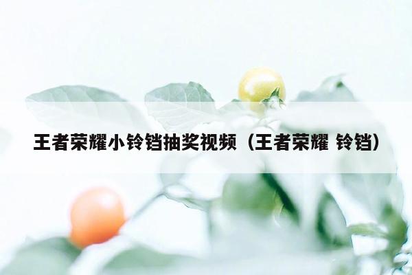 王者荣耀小铃铛抽奖视频（王者荣耀 铃铛）