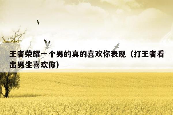 王者荣耀一个男的真的喜欢你表现（打王者看出男生喜欢你）