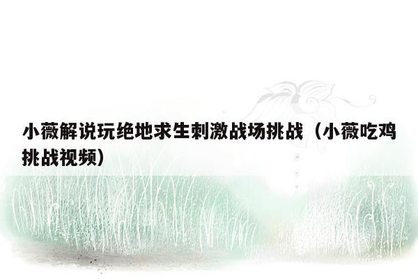 小薇解说玩绝地求生刺激战场挑战（小薇吃鸡挑战视频）