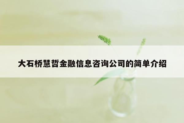 大石桥慧哲金融信息咨询公司的简单介绍