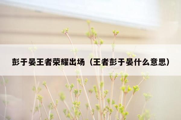 彭于晏王者荣耀出场（王者彭于晏什么意思）