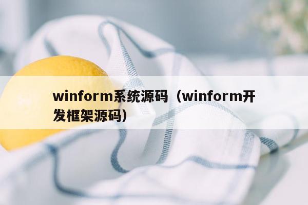 winform系统源码（winform开发框架源码）