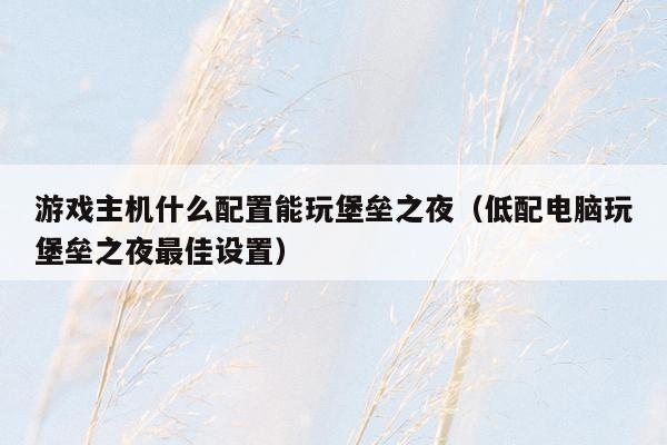 游戏主机什么配置能玩堡垒之夜（低配电脑玩堡垒之夜最佳设置）