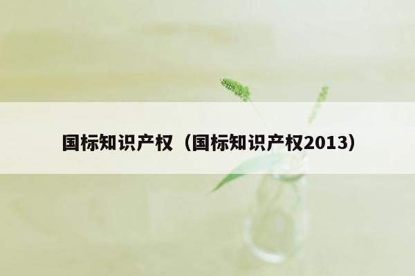 国标知识产权（国标知识产权2013）