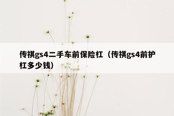 传祺gs4二手车前保险杠（传祺gs4前护杠多少钱）
