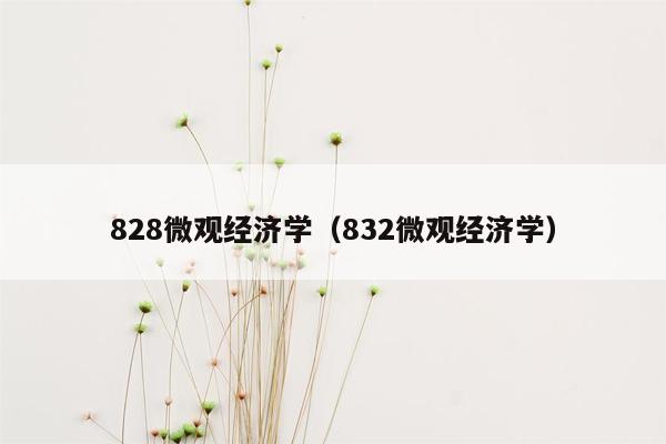 828微观经济学（832微观经济学）
